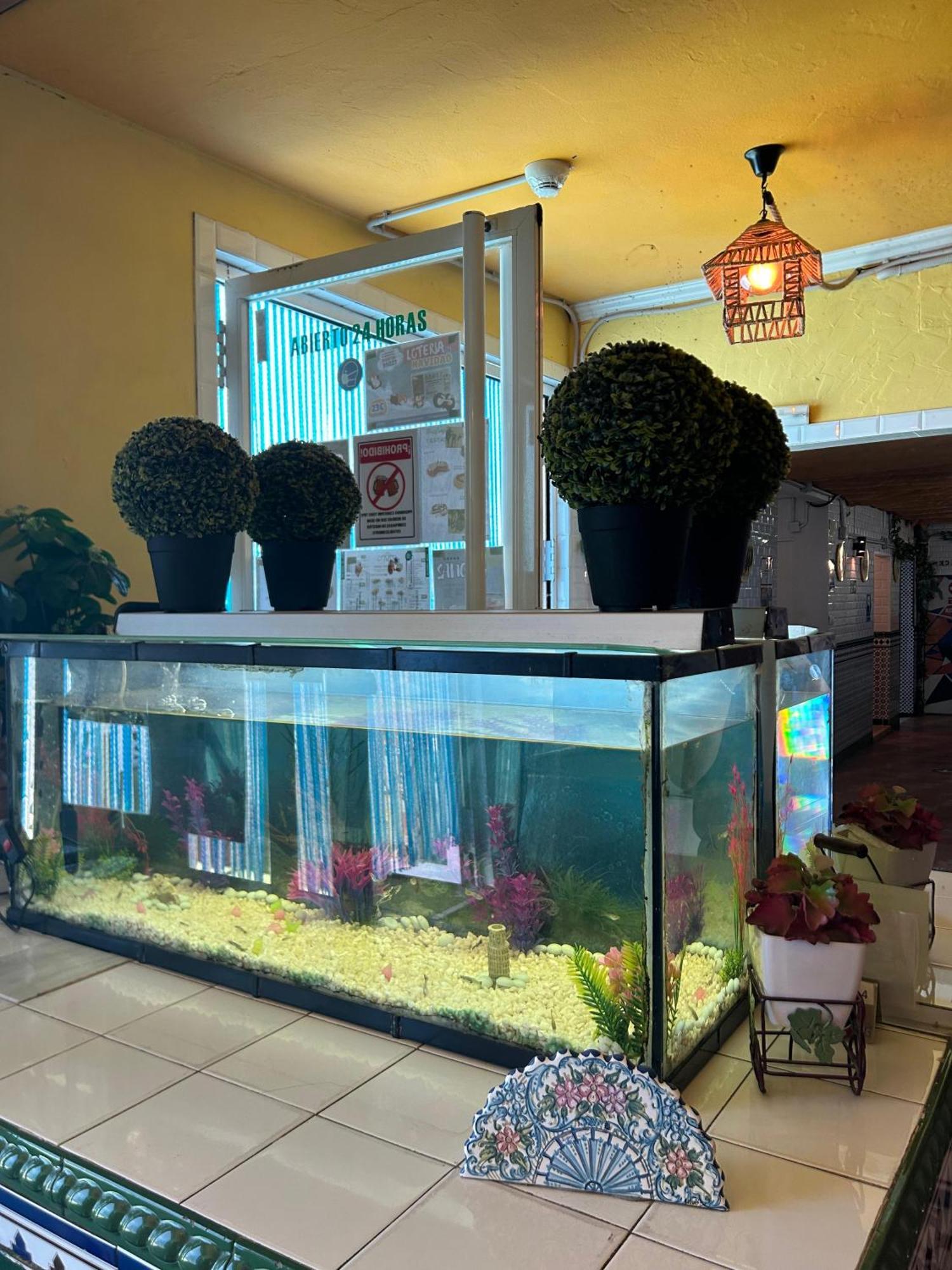 Hostal Avenida Andalucia - Solo Adultos Sevilla Eksteriør billede